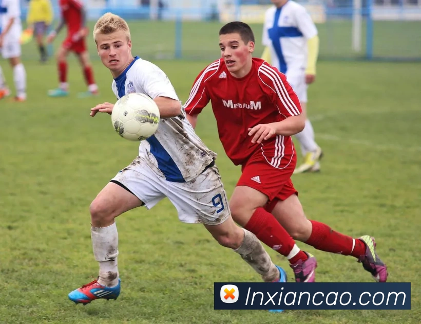 世界杯开户平台服务体系